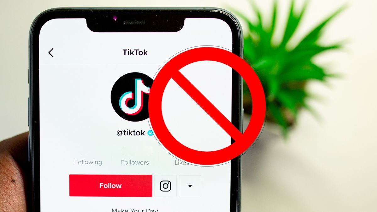 Tiktok Icon
