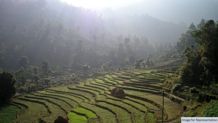 Green fields in Nepal
