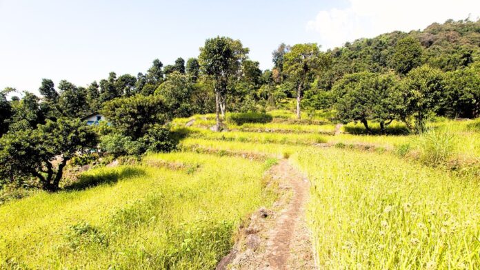 Threads of Heritage: The Culture of the Kulung People in the Colors of Nature